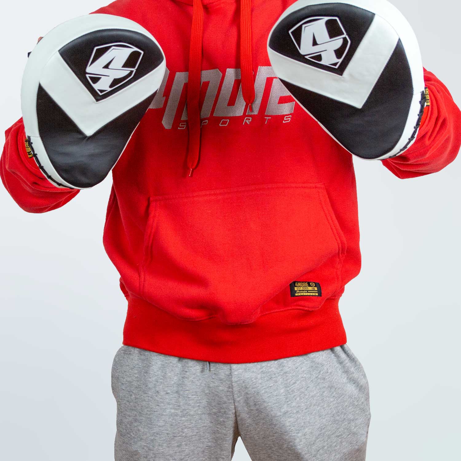 BOXPRATZEN SCHLAGPOLSTER HAVOC FOCUS MITTS